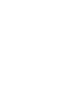Lakefest Logo Icon
