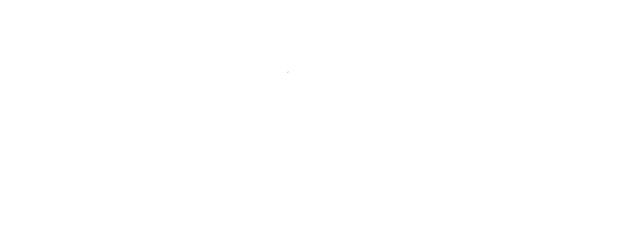 Lakefest VIP VIllage logo in white