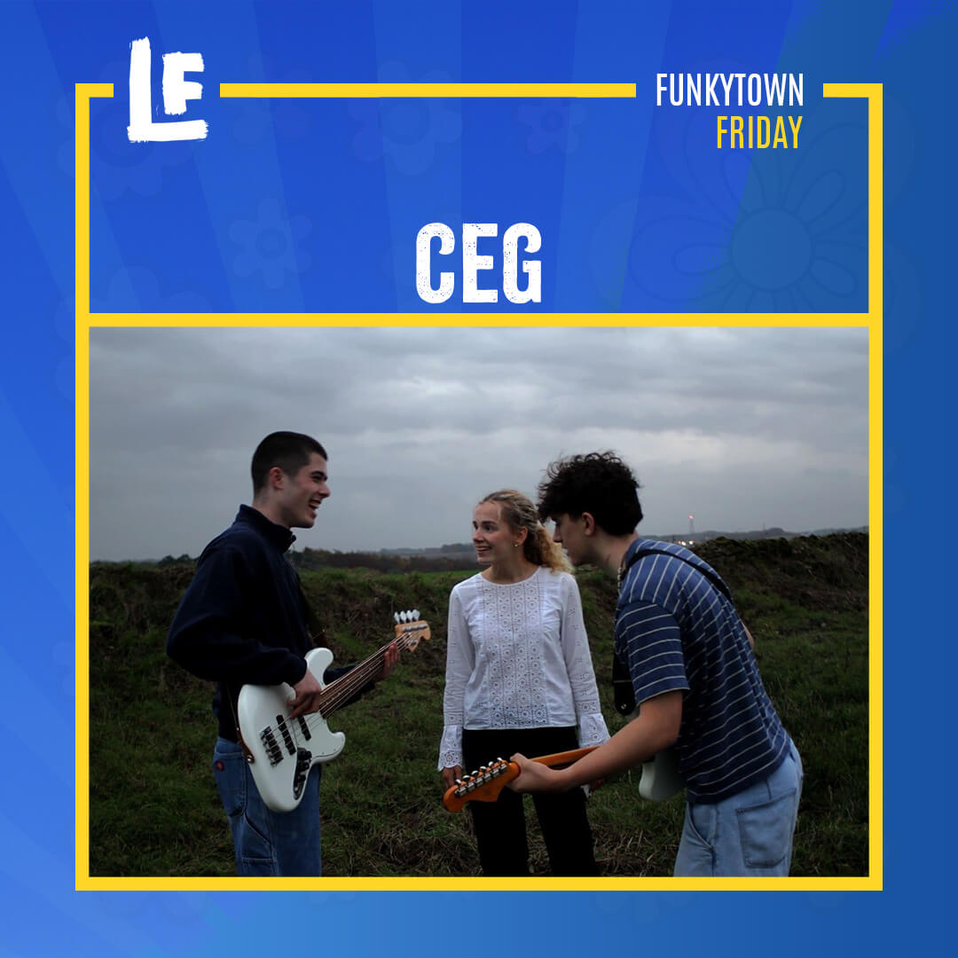 CEG playing at Lakefest 2026